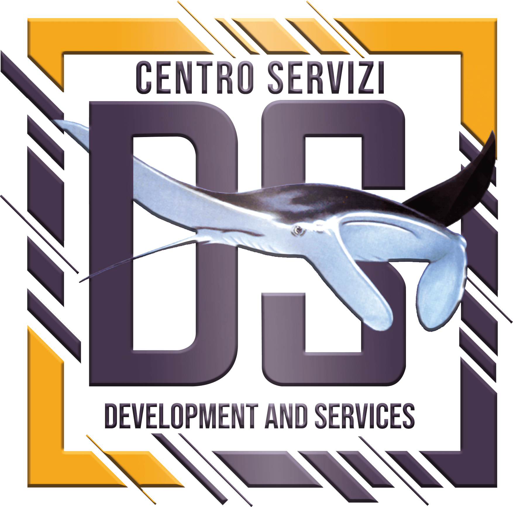 DS-Centro Servizi